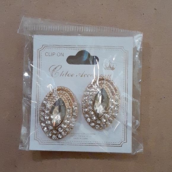 Chloe Accessory - Picture 3 of 6